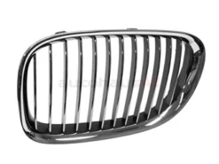 Genuine BMW 51117184151 Grille; Left - BMW
