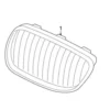 Genuine BMW 51117464481 Grille; Left - BMW