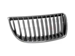 Genuine BMW 51137120010 Grille - BMW