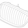 Genuine BMW 51137179656 Grille; Right - BMW