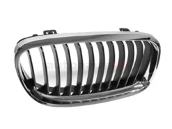 Genuine BMW 51137201968 Grille; Right - BMW