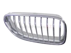 Genuine BMW 51137212852 Grille; Right - BMW