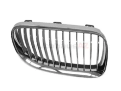 Genuine BMW 51137254970 Grille; Right - BMW