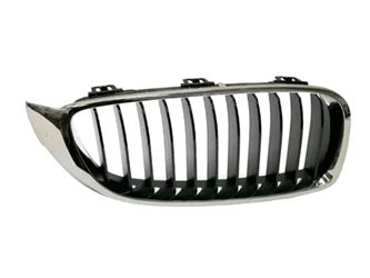 Genuine BMW 51137294814 Grille; Front Right - BMW