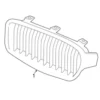 Genuine BMW 51137294819 Grille; Front Left - BMW