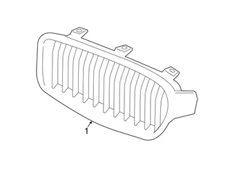 Genuine BMW 51137294819 Grille; Front Left - BMW
