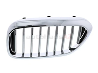 Genuine BMW 51137383519 Grille; Front Left - BMW