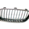Genuine BMW 51137475967 Grille; Front Left - BMW