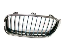 Genuine BMW 51137475967 Grille; Front Left - BMW
