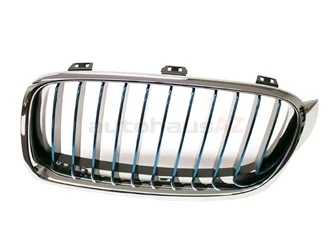 Genuine BMW 51137475967 Grille; Front Left - BMW