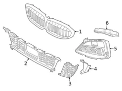 Genuine BMW 51138075665 Grille - BMW