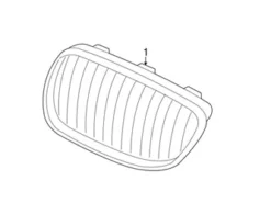 Genuine BMW 51138746502 Grille; Right - BMW